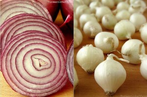 Red _White _Onions
